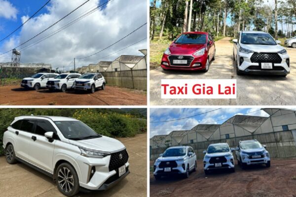 Taxi Gia Lai